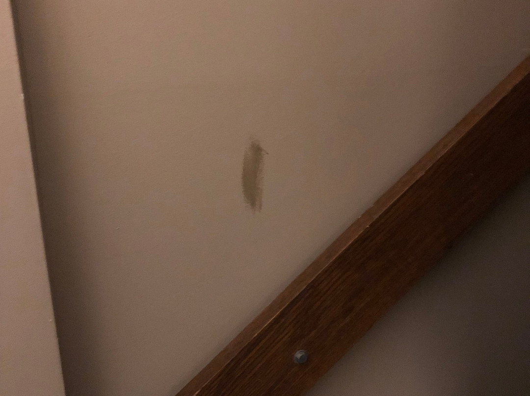 Quality Inn & Suites Houghton Downtown主图