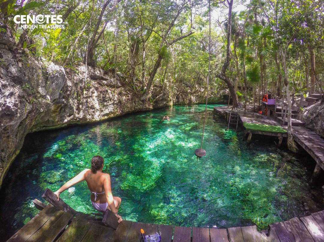 Dos Palmas旅游景点-Cenotes Park Hidden Treasures
