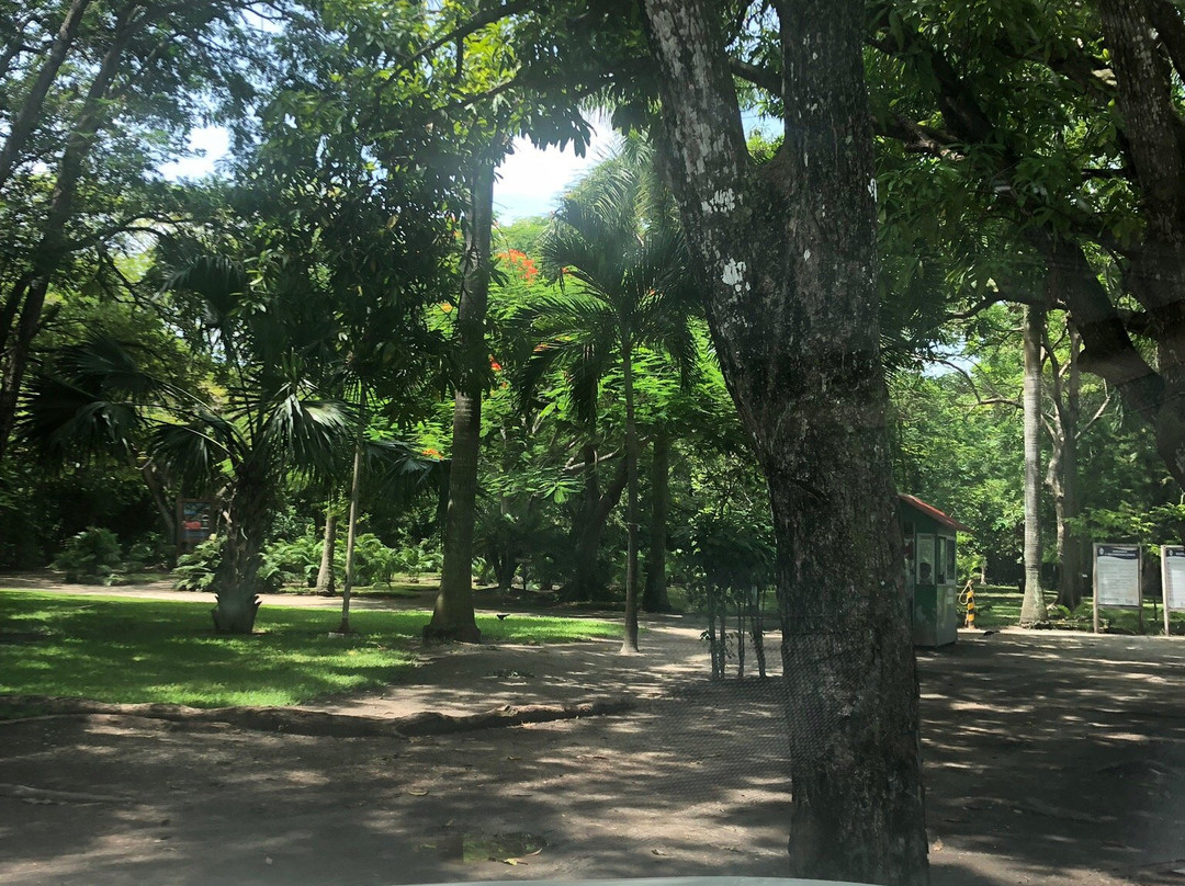 Jardin Botanico Unacar-卡门城必去景点