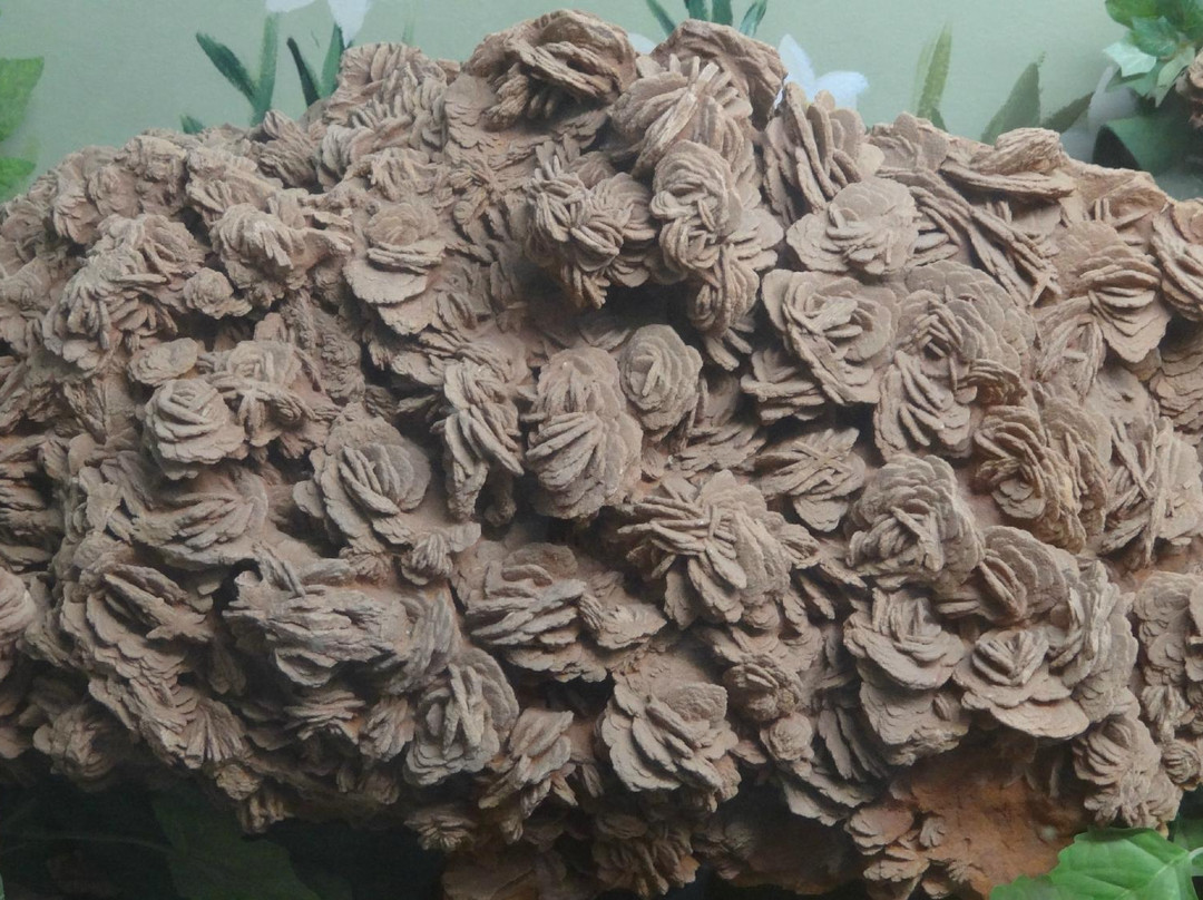 Timberlake Rose Rock Museum-Noble必去景点