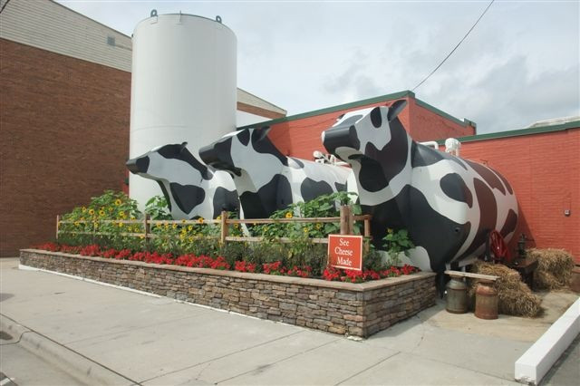 Ashe County Cheese景点图片