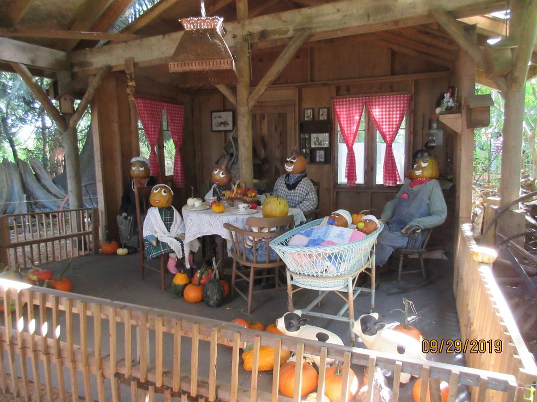 Laity Pumpkin Patch-枫树岭必去景点