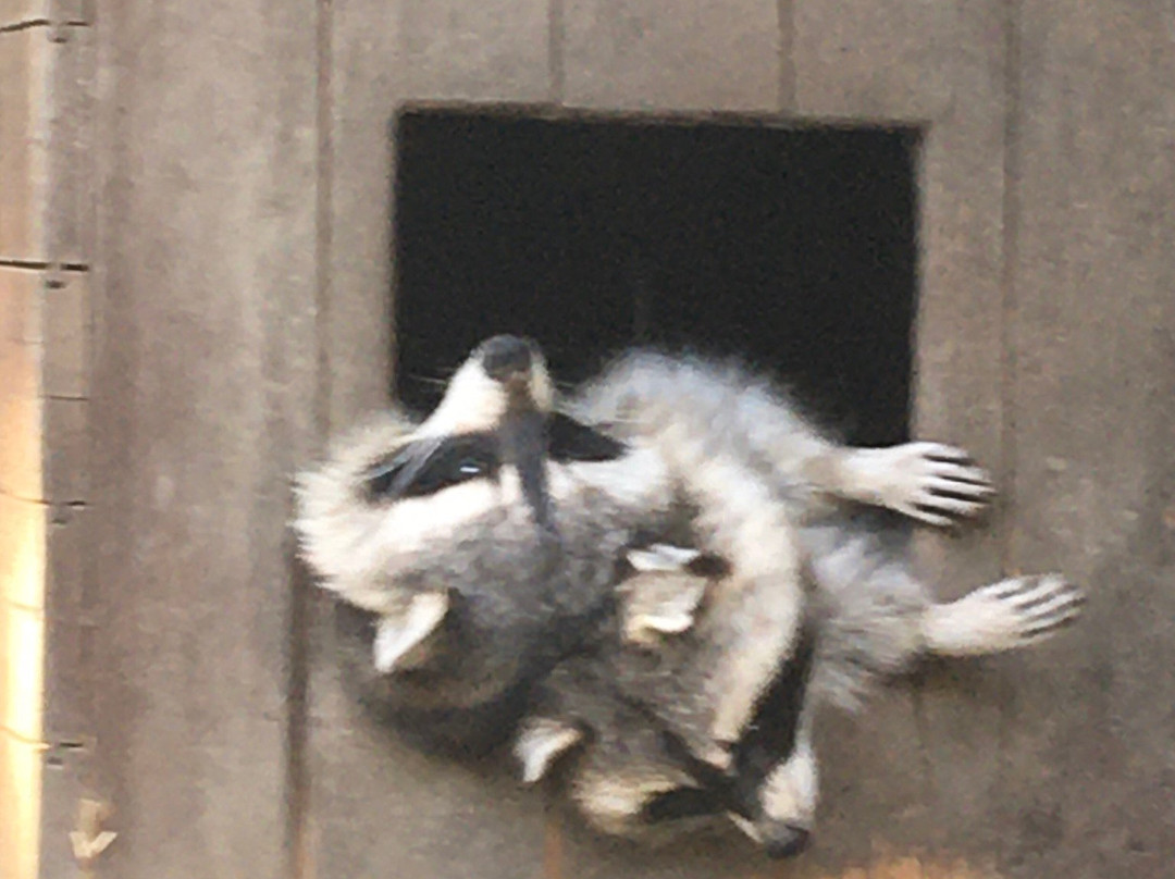 Zoologischer Garten Hof景点图片