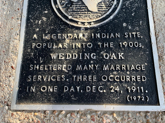 Wedding Oak Tree-San Saba必去景点