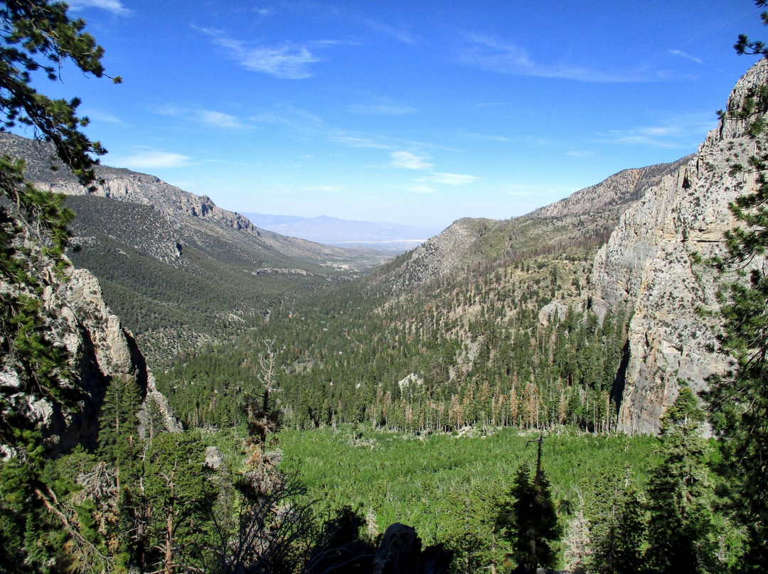 Mt. Charleston Scenic Byway