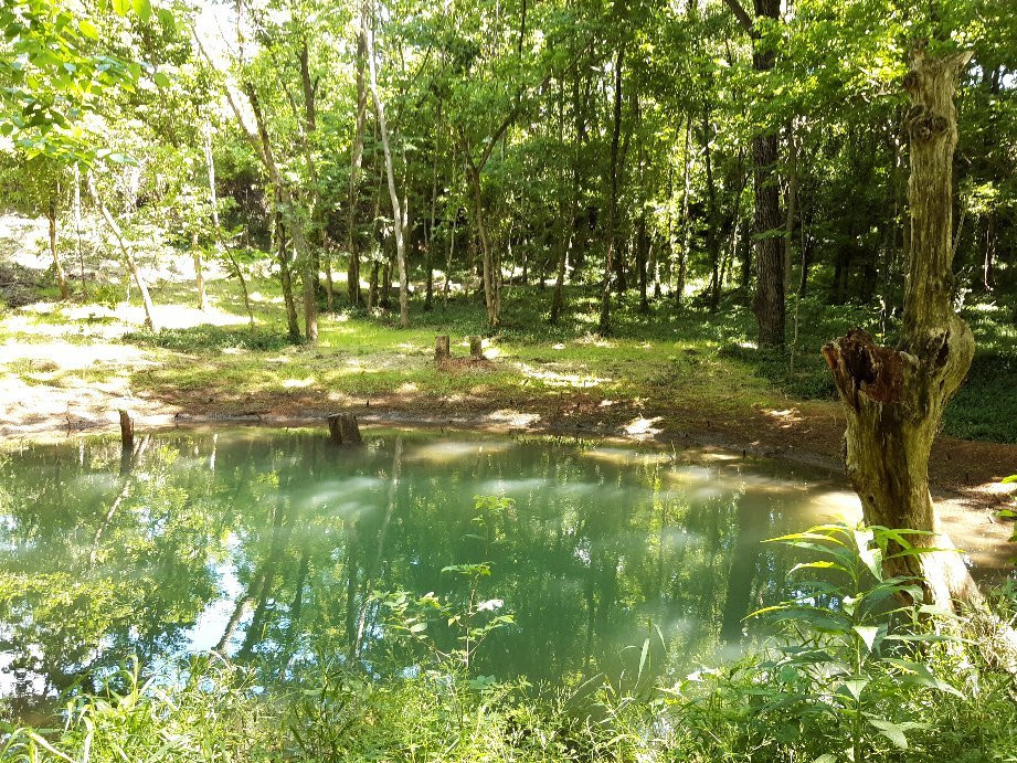 McConnell Springs