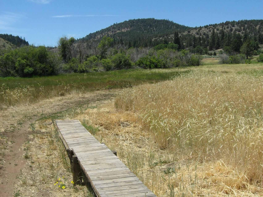 Susanville Ranch Park景点图片