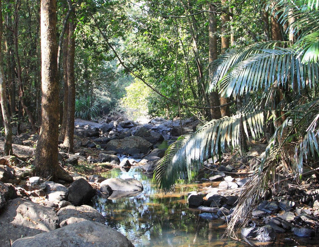 Bhagwan Mahavir Wildlife Sanctuary-South Goa District必去景点