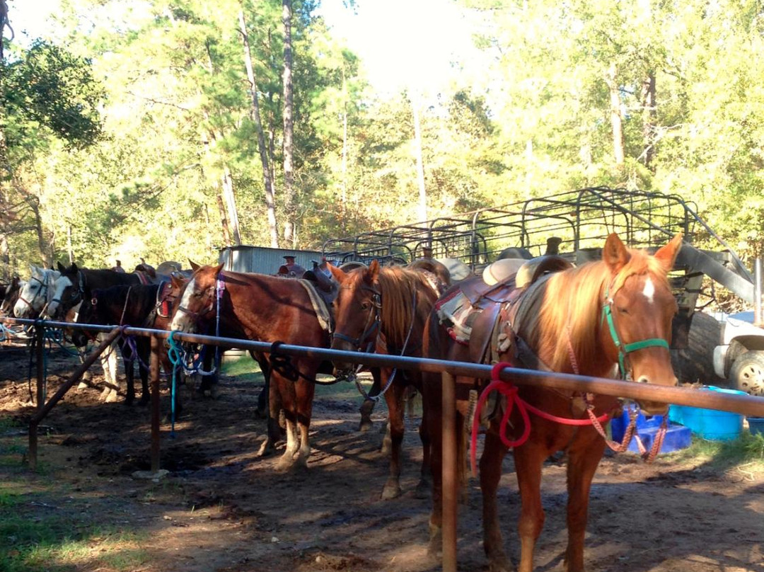 Faith Ridin' Stables