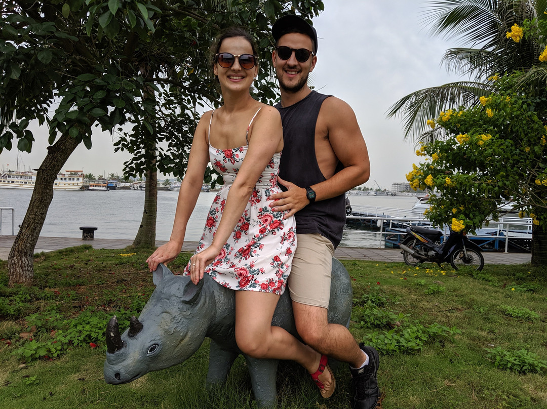 Camellia Cruise-团洲岛必去景点