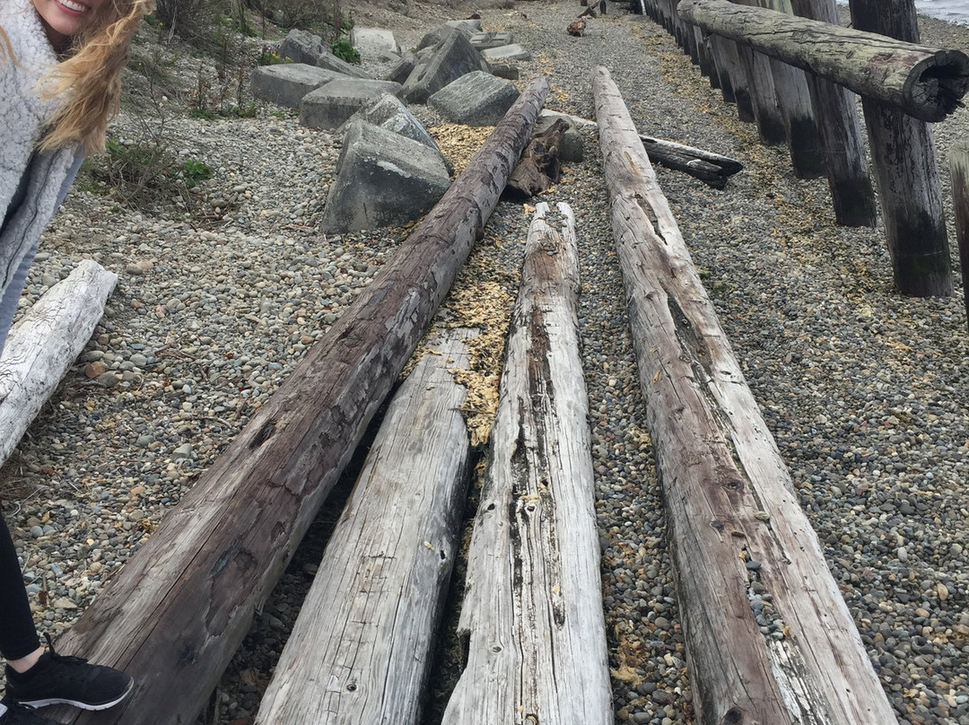 Sequalitchew Creek Trail Head景点图片