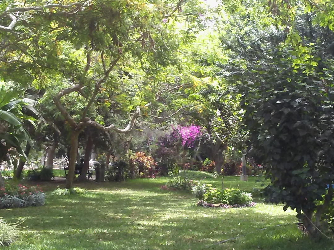 Moche旅游景点-Jardín Botánico