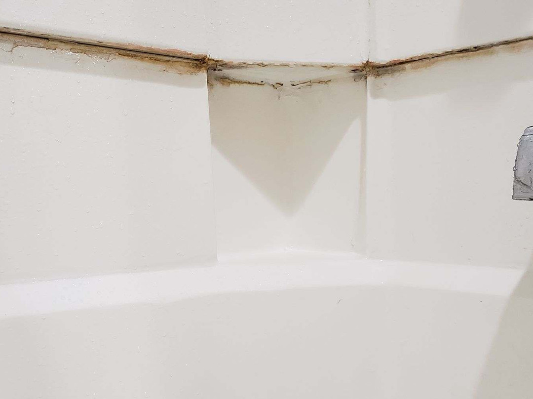 Baymont by Wyndham Elkhart主图