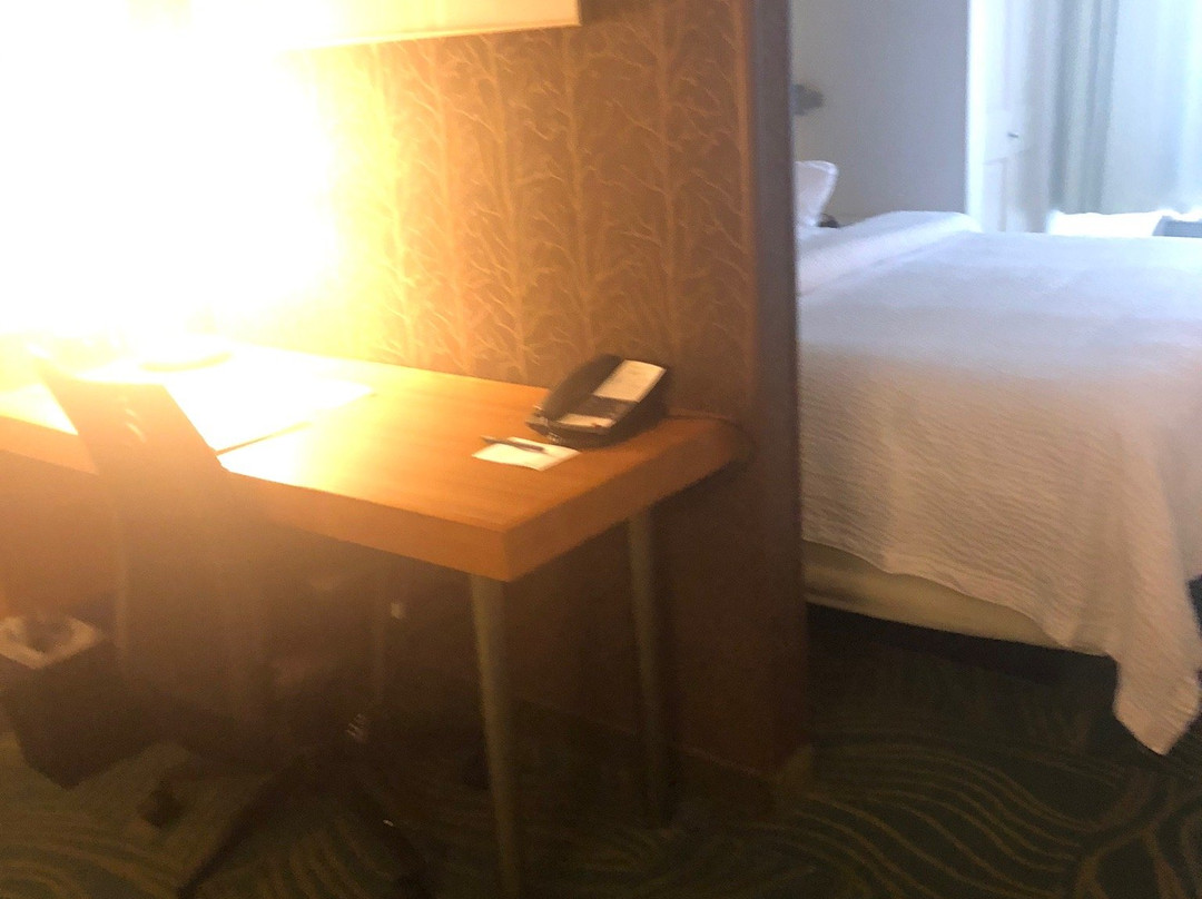 Springhill Suites Lansing主图