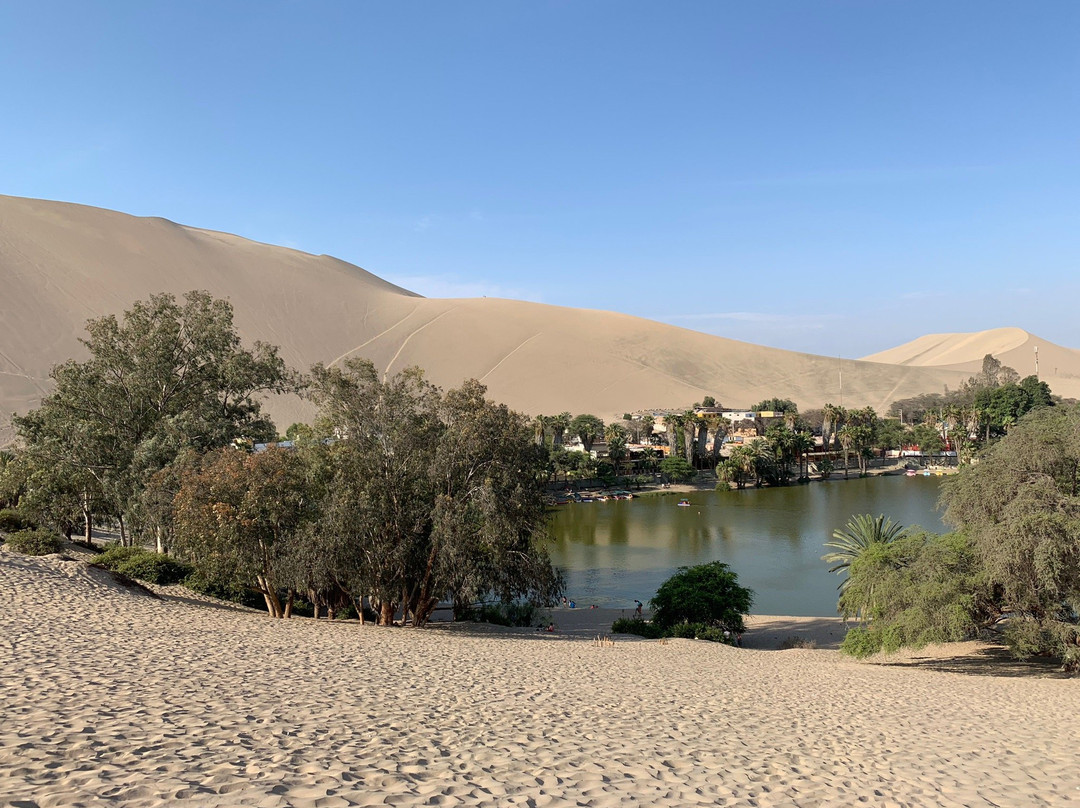 Ica, huacachina, boggies pisco food-Huacachina必去景点