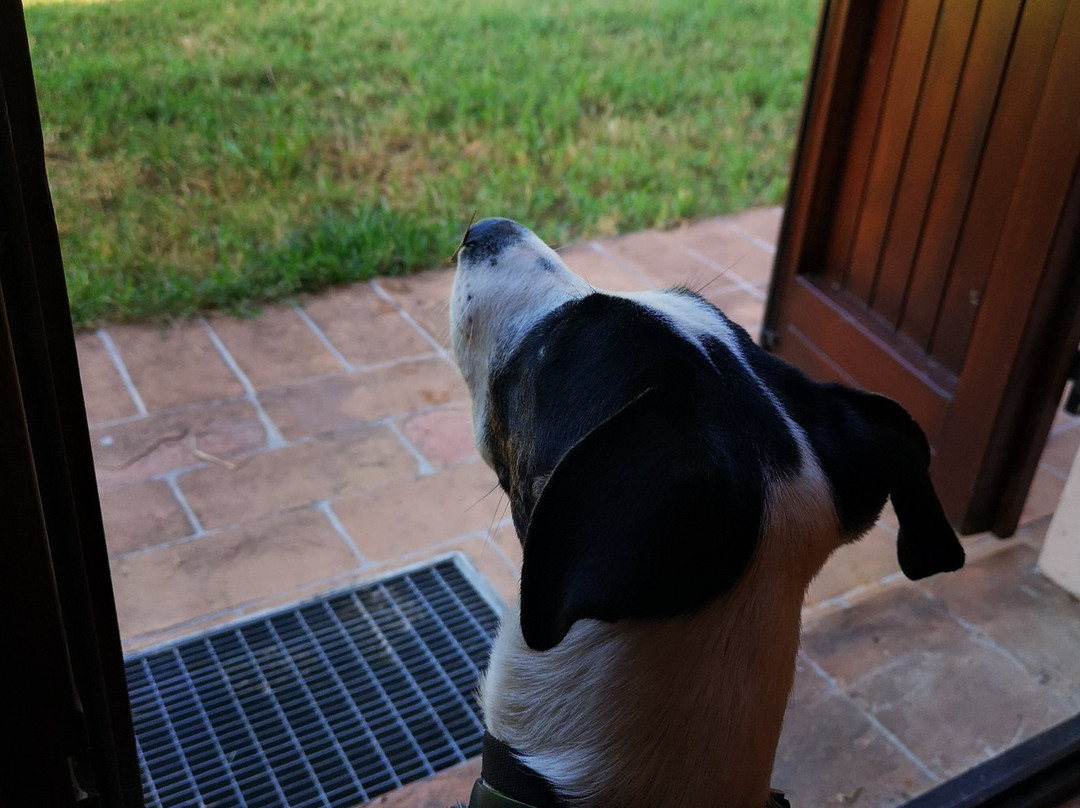 B&B Il Casinetto主图