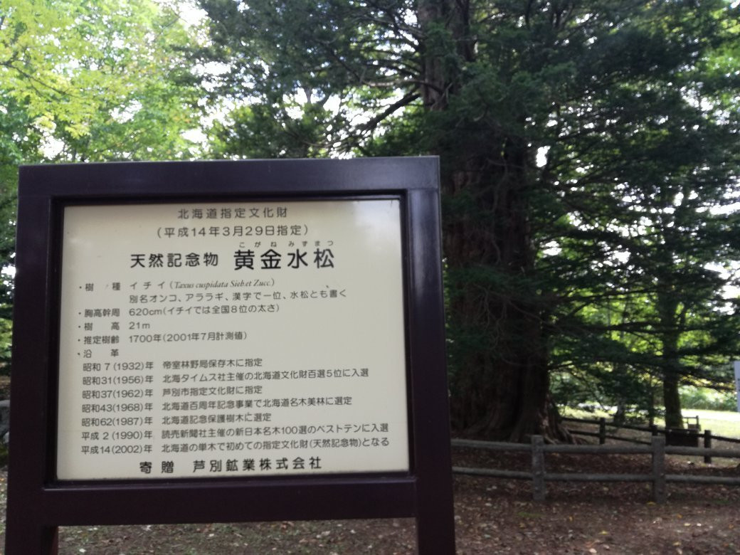 Kogane Mizumatsu-芦别市必去景点