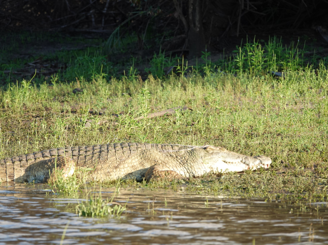 Luxury Short Safari-桑给巴尔岛必去景点