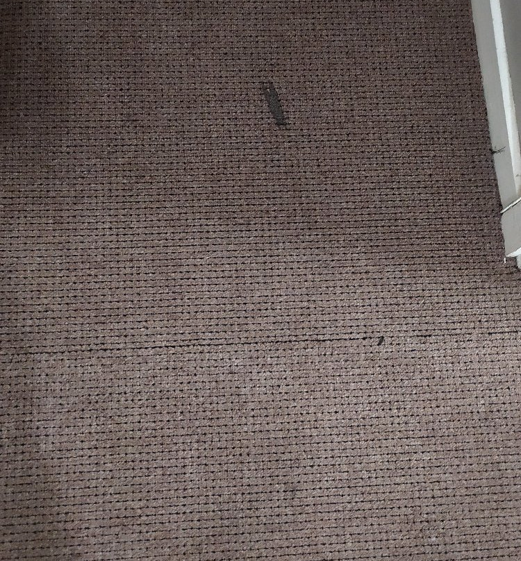 Halyards Hotel and Spa主图