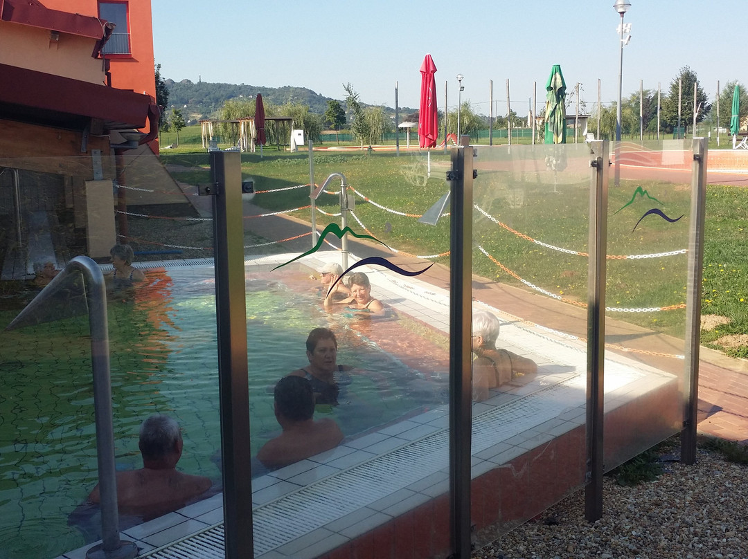 Vulkán Wellness Hotel & Camping主图