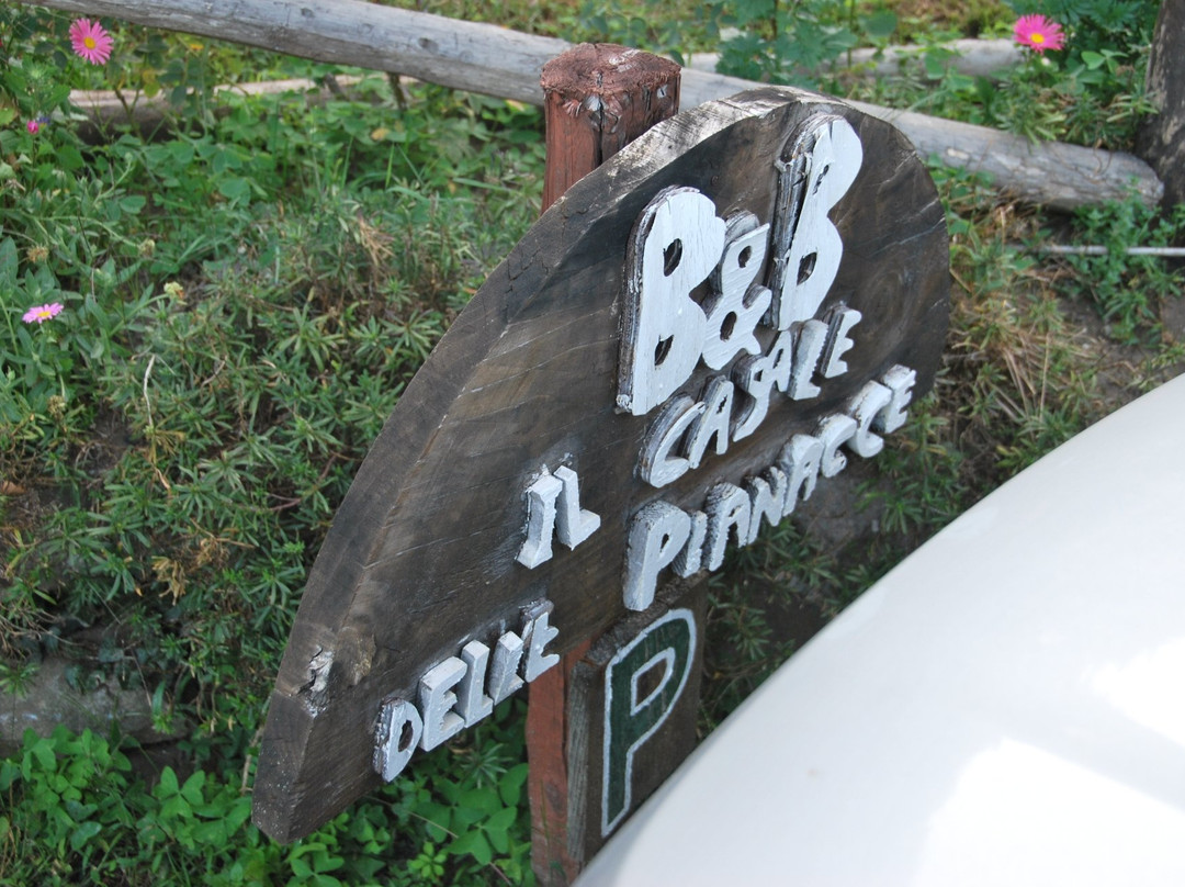 B&B Il Casale delle Pianacce主图
