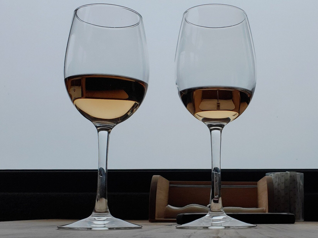 Adega Vitivinícola Lucas Lopes Amaral-Candelaria必去景点