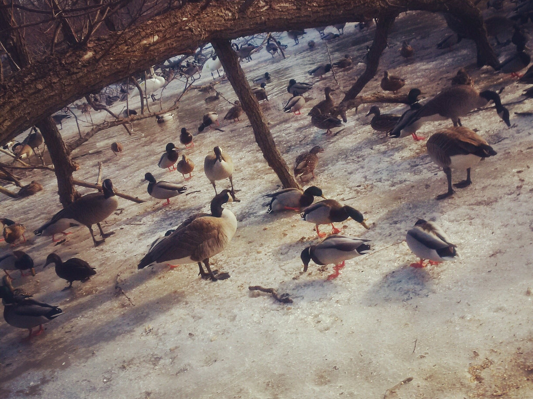 Lynde Shores Conservation Area-Whitby必去景点