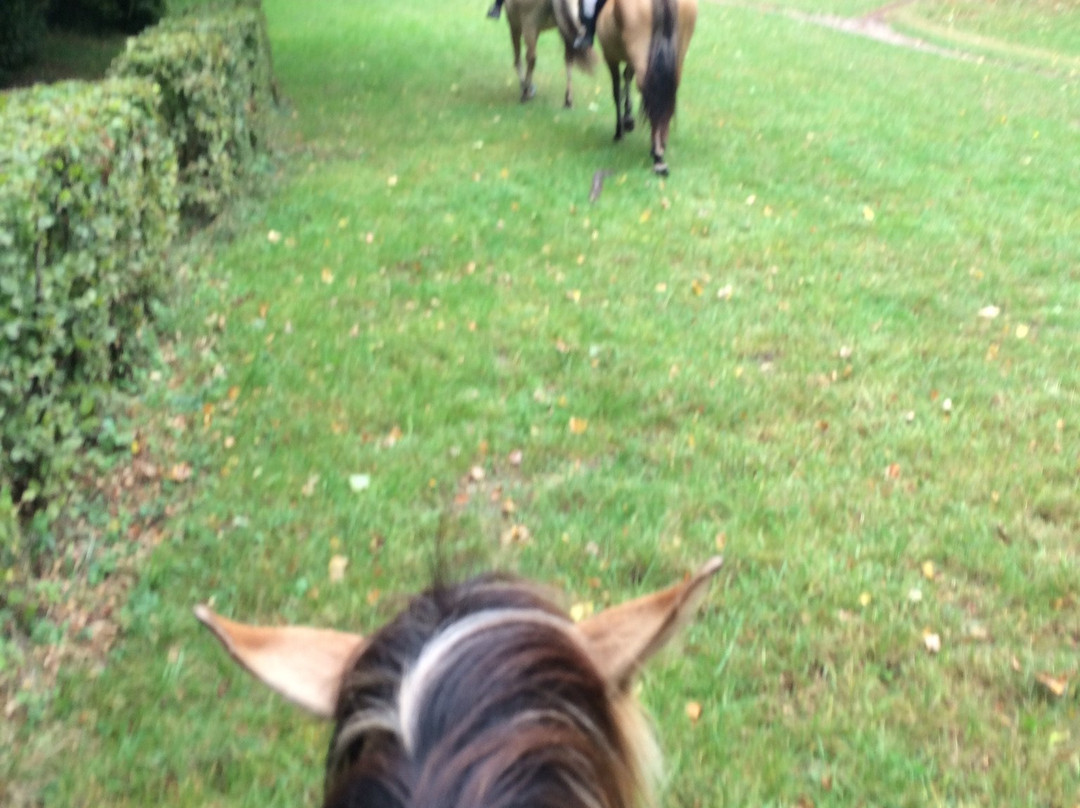 Espace Equestre Henson Chantilly-尚蒂伊必去景点
