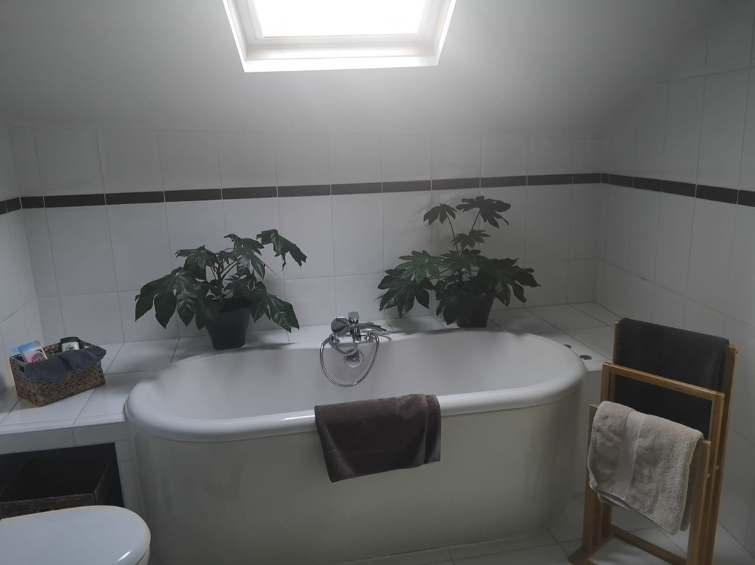 Ainsi de Suites主图