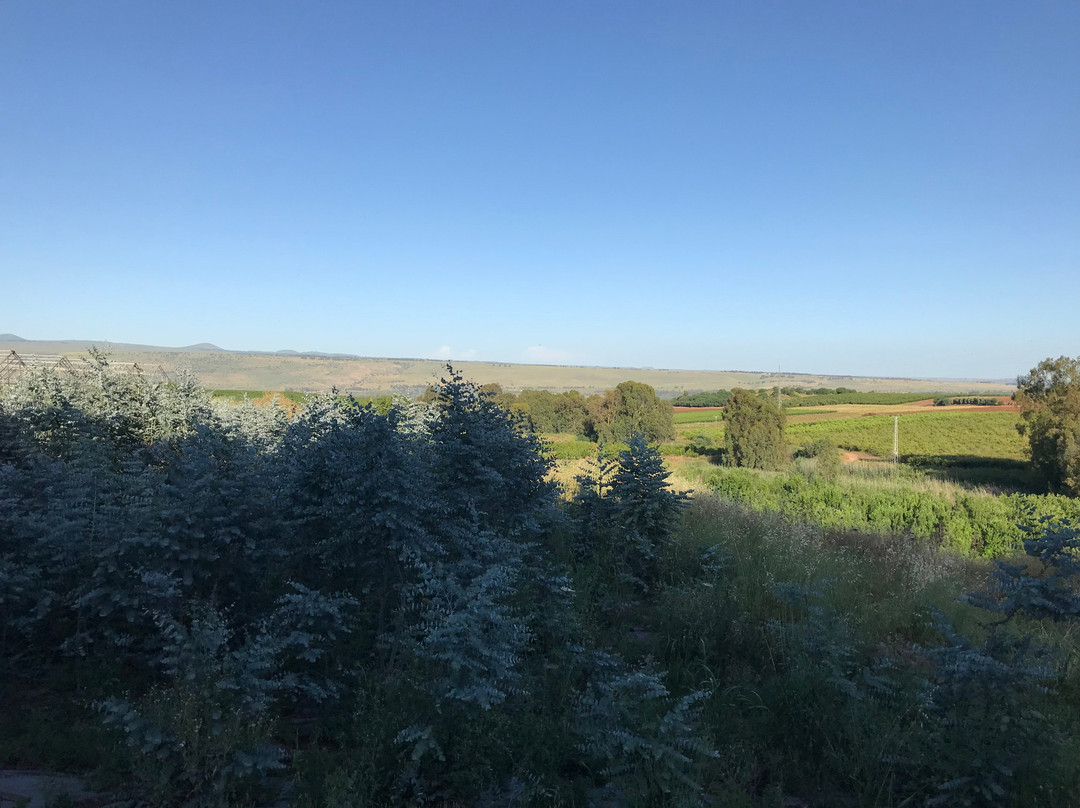 Yarden Estate Boutique Hotel主图