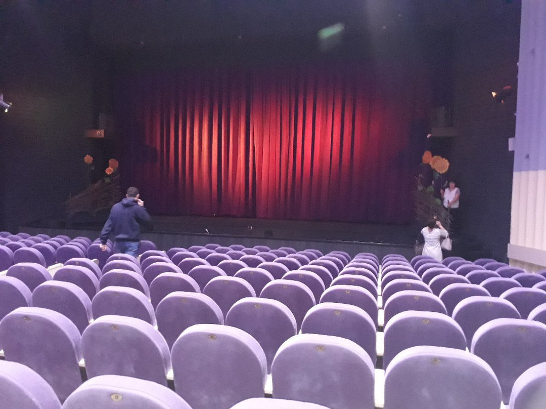 Altai State Regional Theater of Musical Comedy景点图片