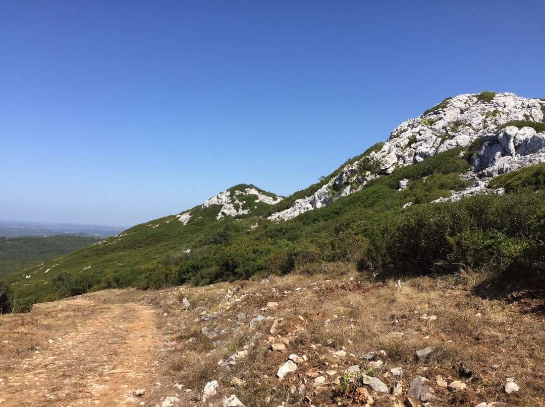 Serra de Montejunto景点图片