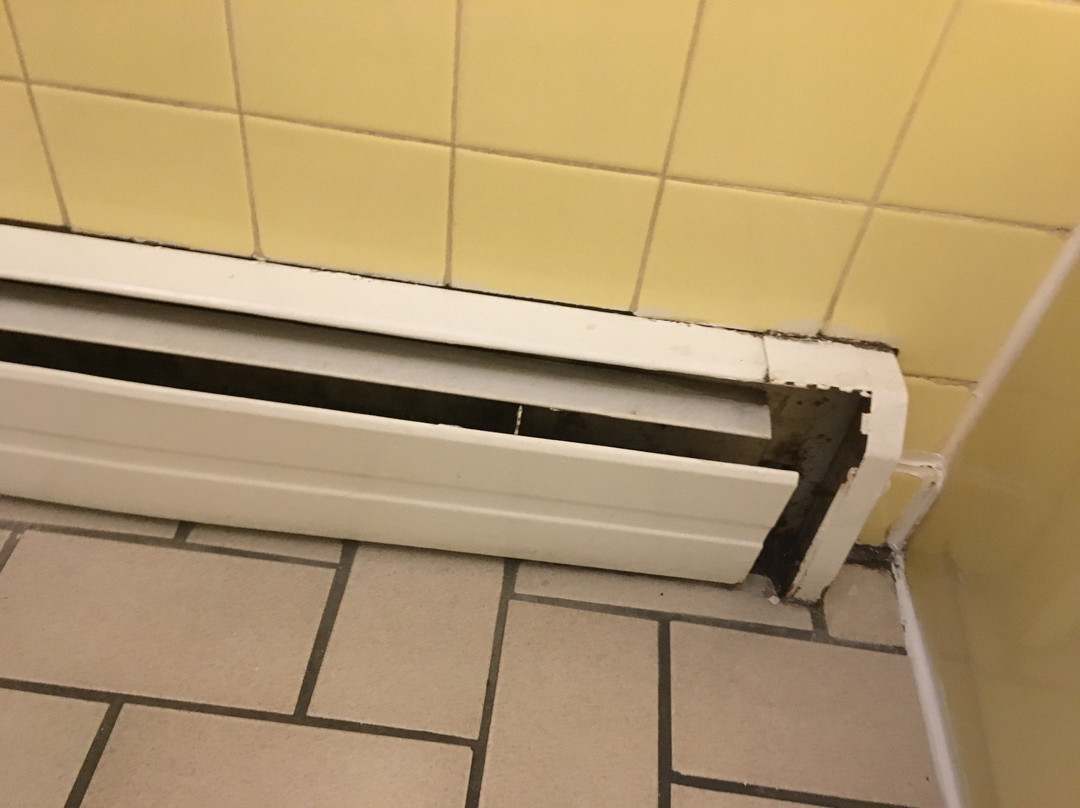 Stardust Motel Bedford主图