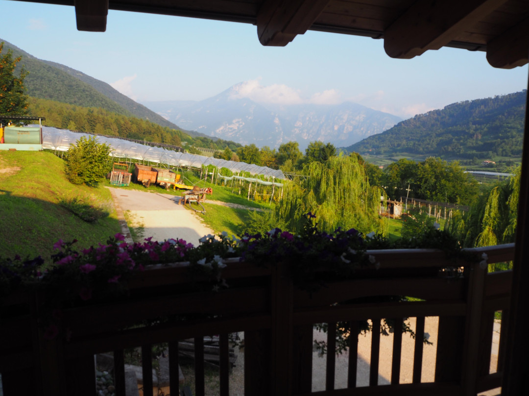 Agriturismo La Val主图