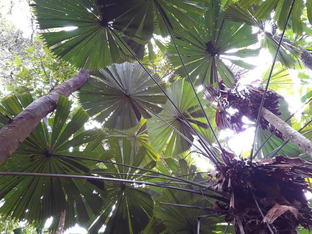 Demi View Motel主图