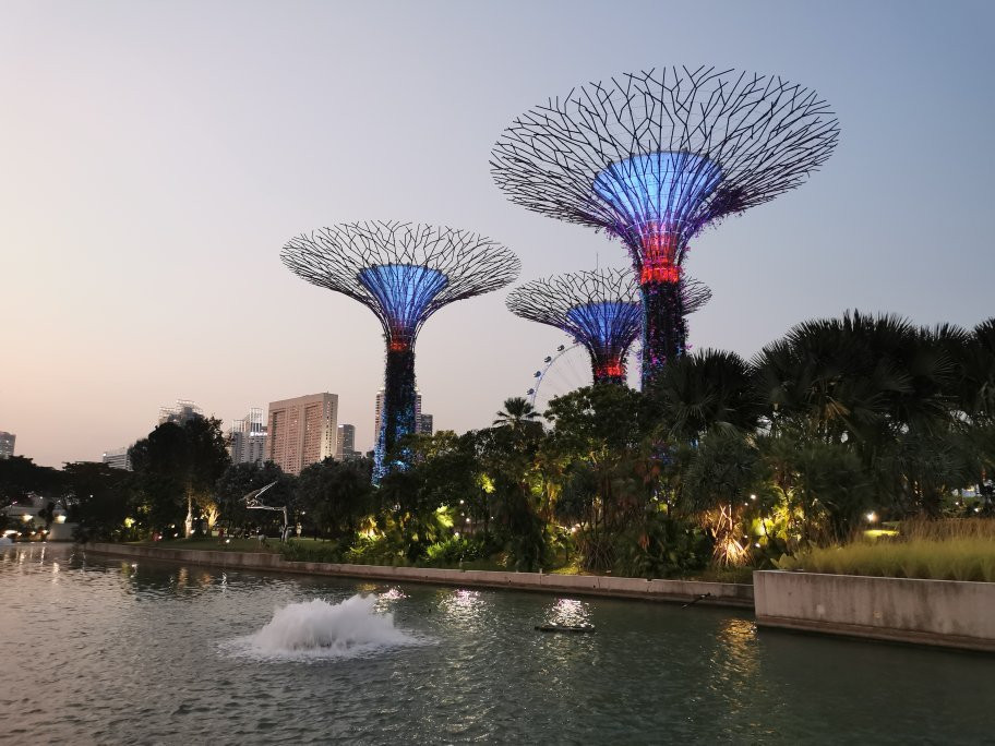 新加坡自由行景点图片