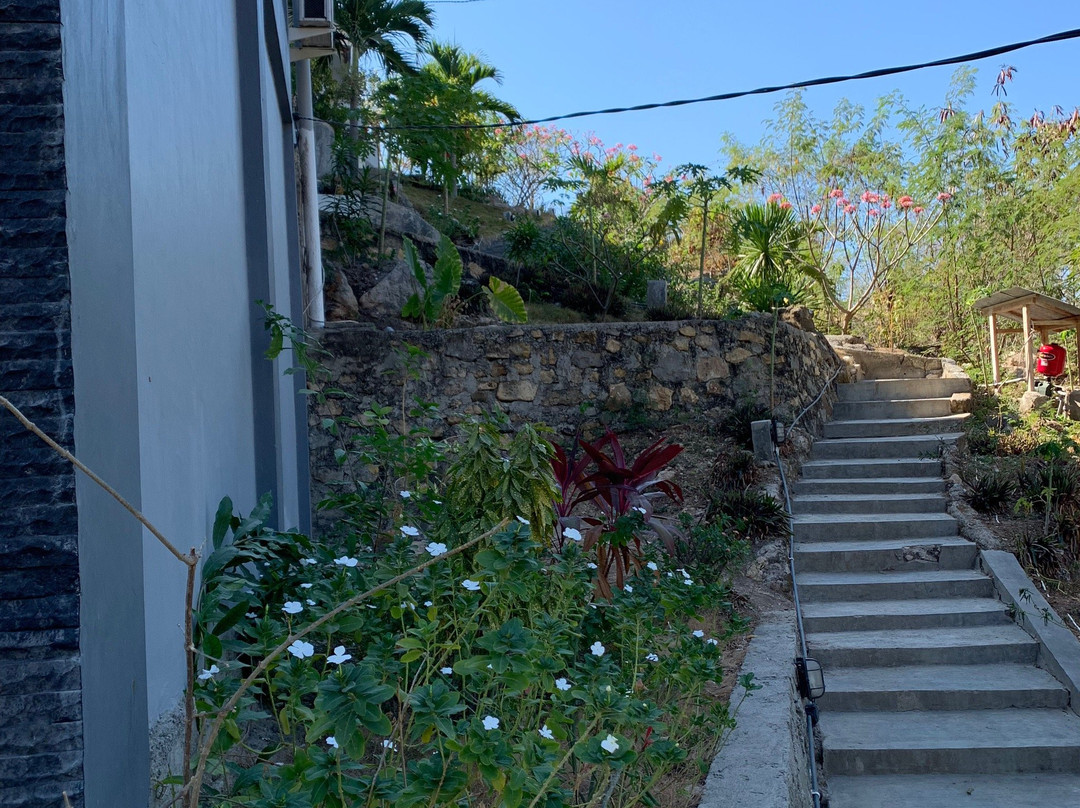 CF Komodo Hotel主图