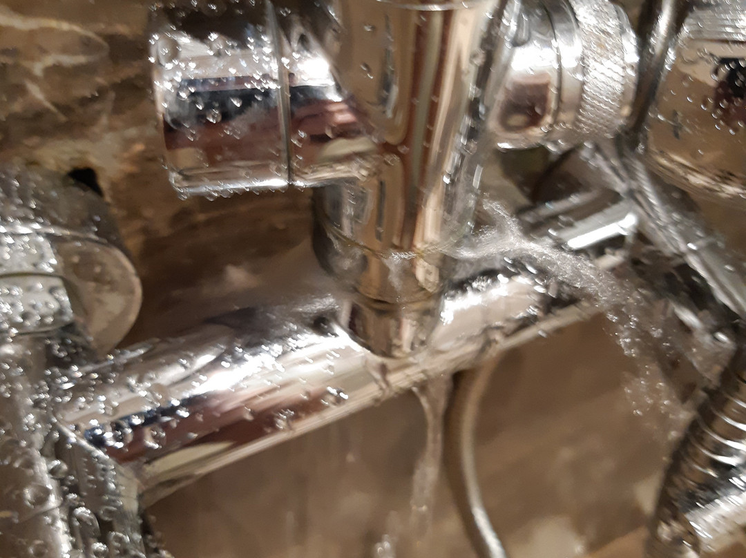 达兰希尔顿逸林酒店主图