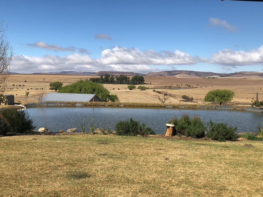 Forellenhof Guest Farm主图