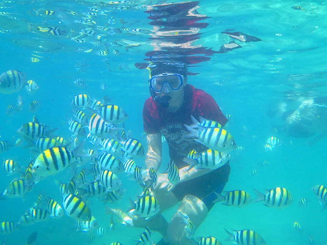 Ideal Tours and Adventure-龙目岛必去景点