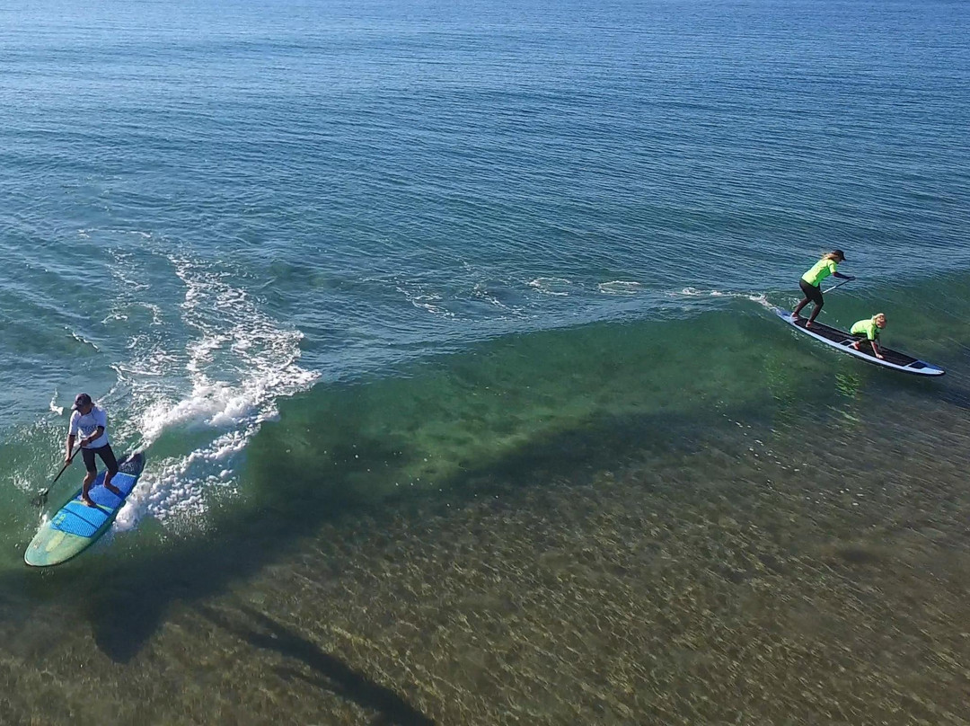 Enviro-Reefs Paddle and Surf School景点图片