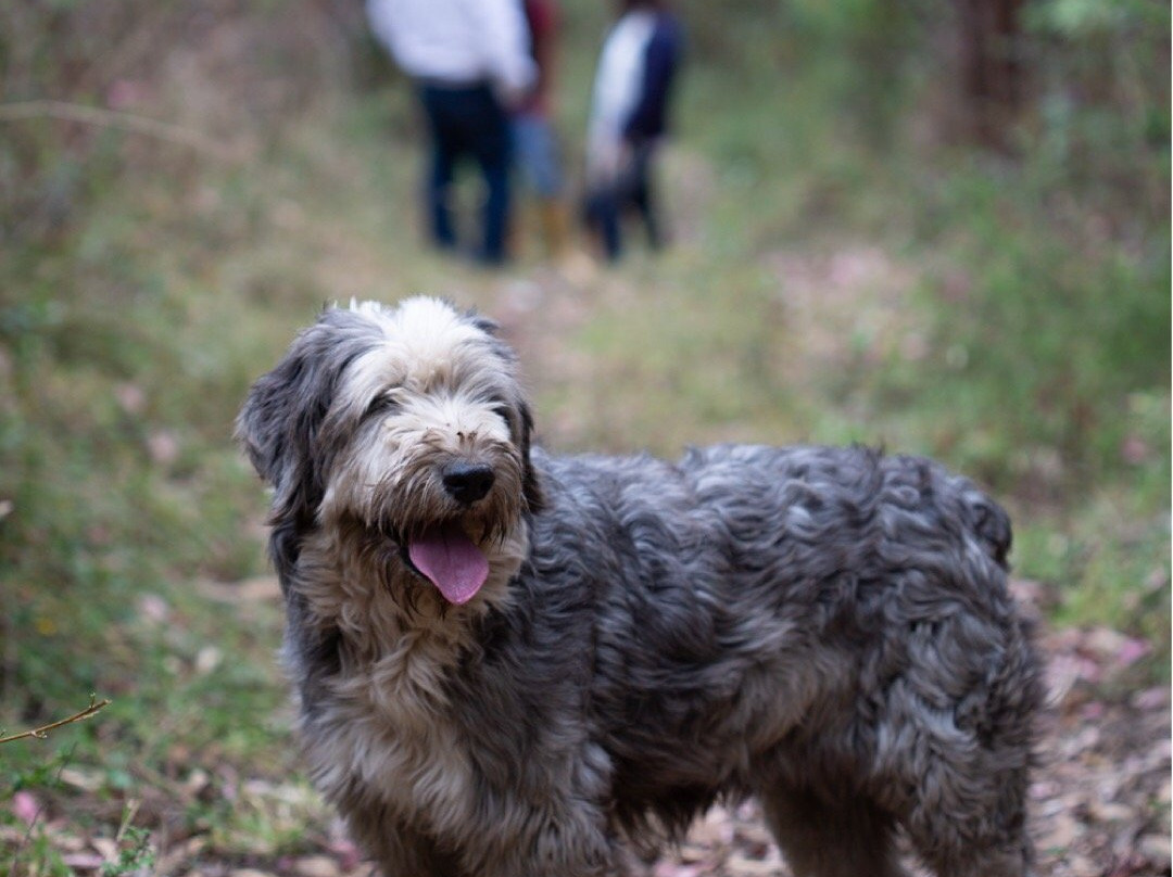 Hacienda San Isidro De Iltaqui主图