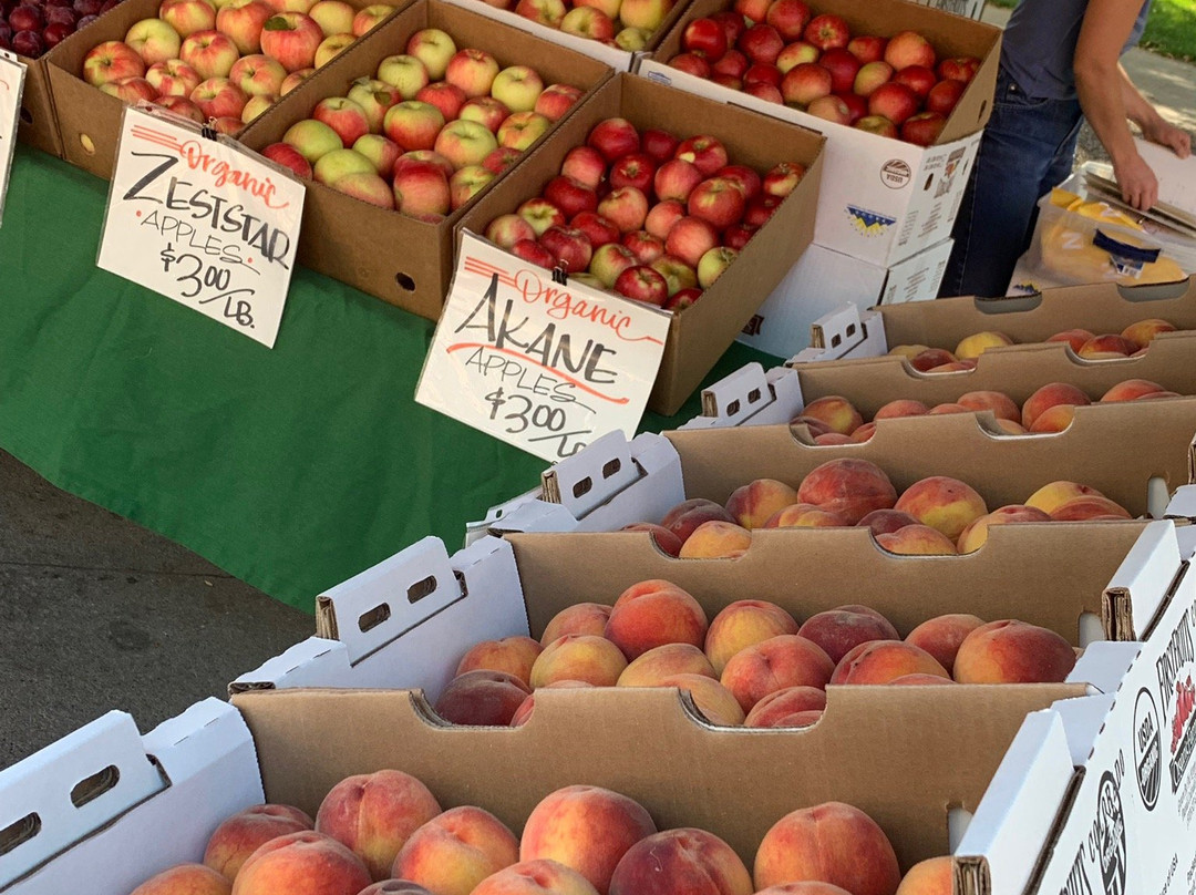 Boulder County Farmers Market-博尔德必去景点