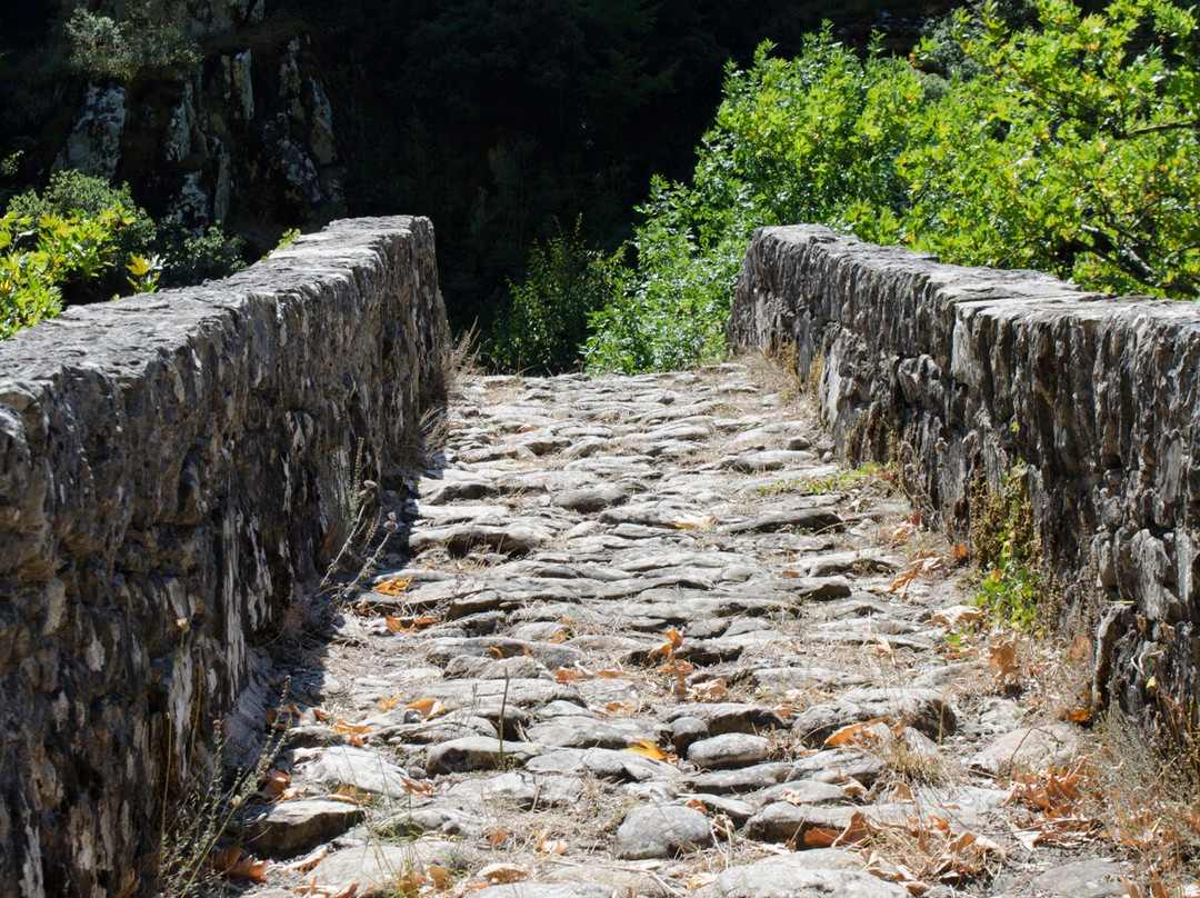 Stone Bridge of Agrafa-Agrafa必去景点