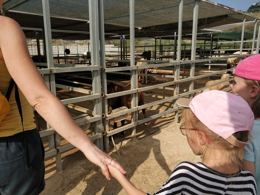 Dreams of Horses Farm-Xaghra必去景点