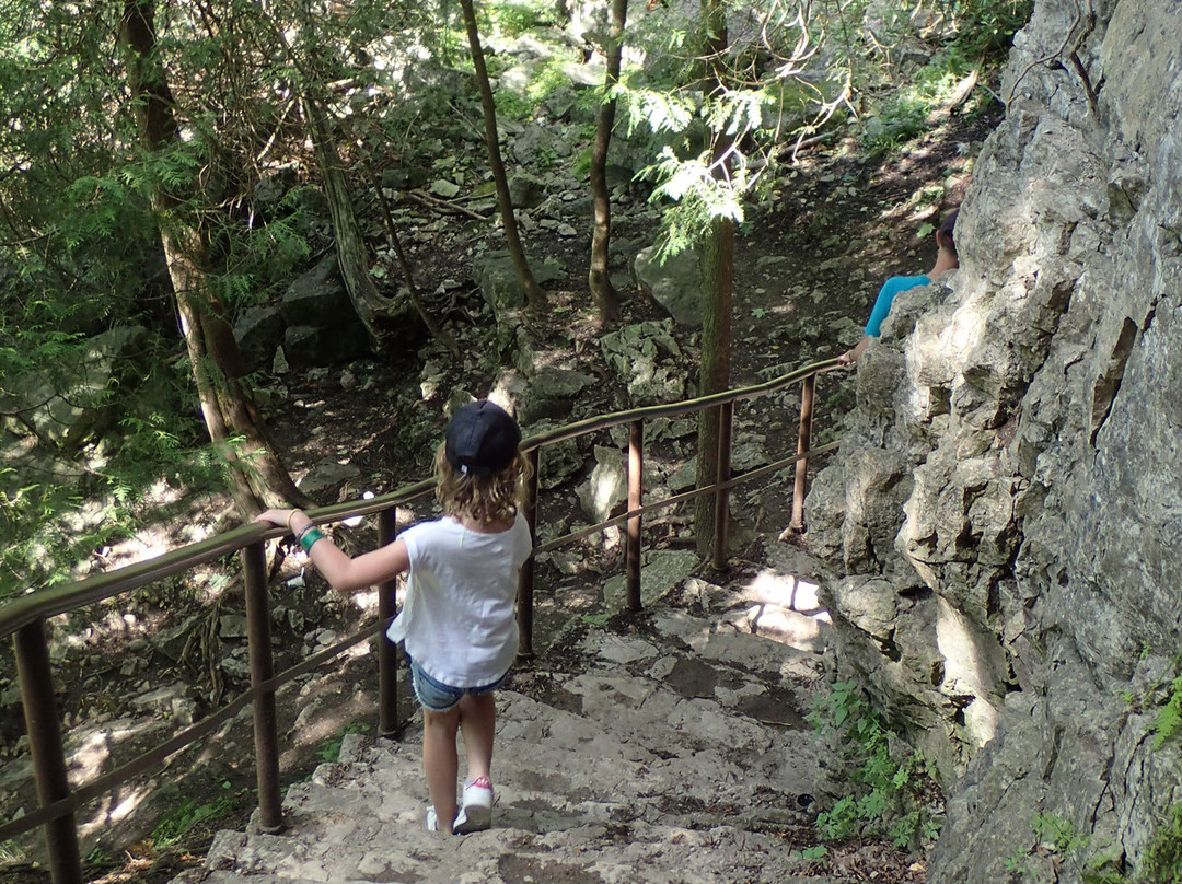 Elora Quarry Conservation Area-伊劳拉必去景点