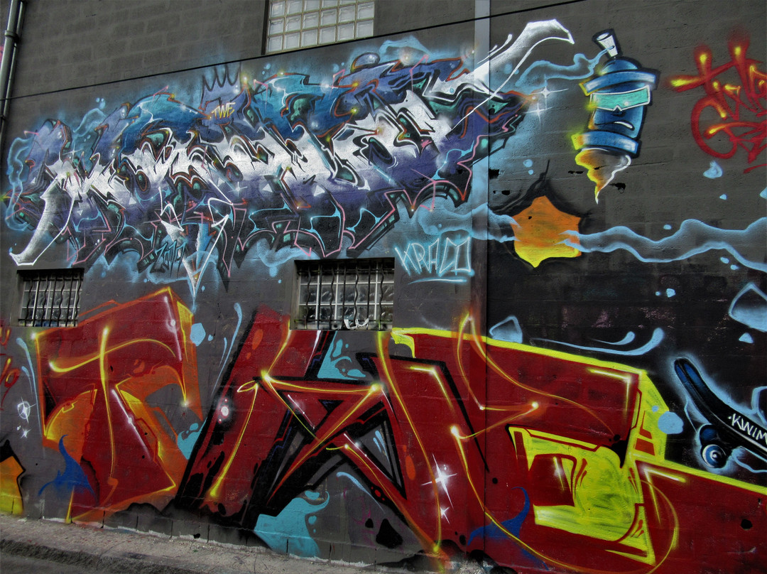 Fresque "Skateboardeuse"-欧贝维利耶必去景点