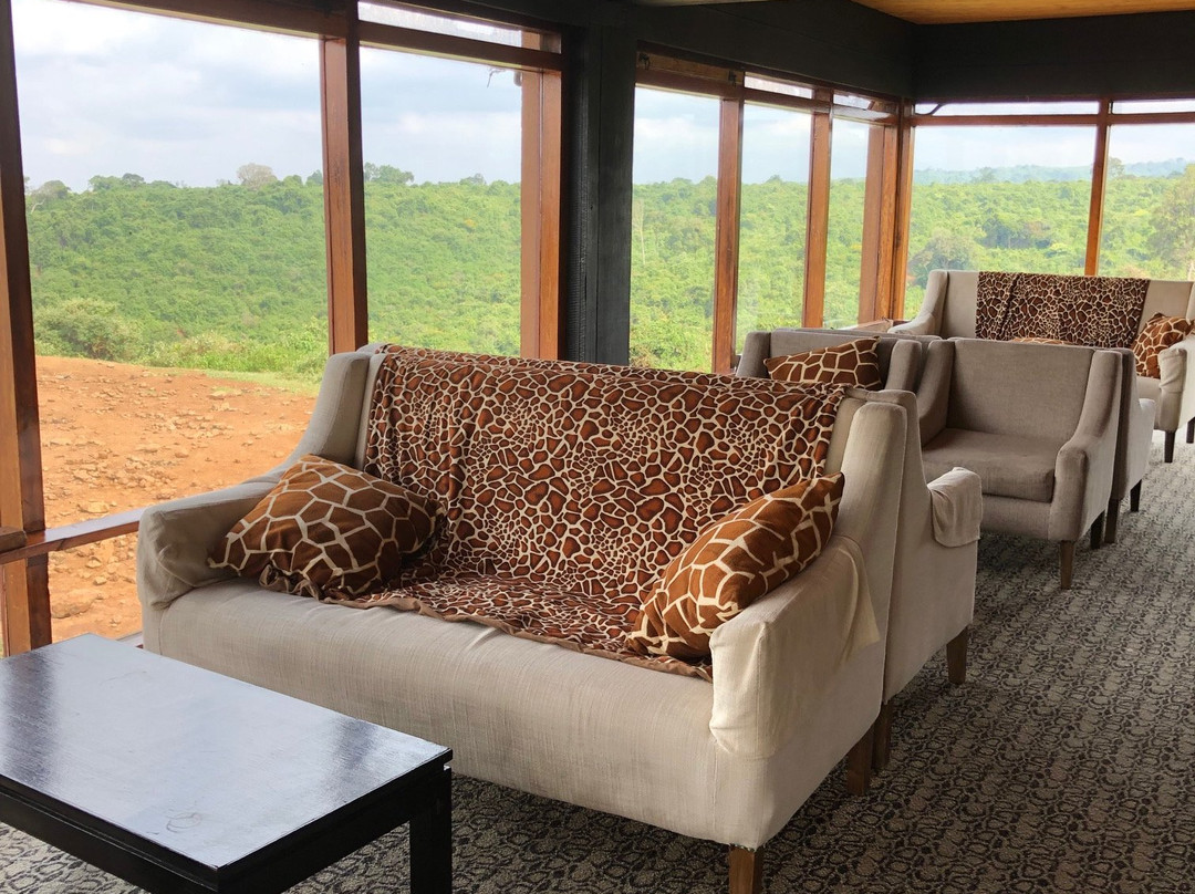 方舟山林小屋主图