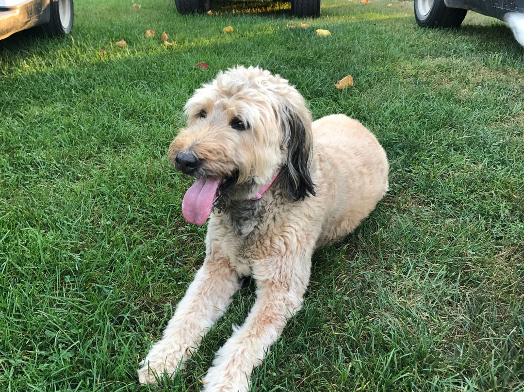 Cronin's Golf Resort主图