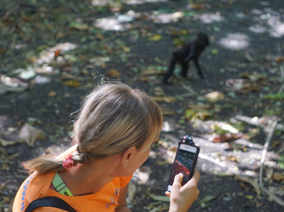 Tangkoko Research Station景点图片